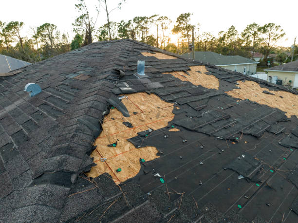 Best Steel Roofing  in Mountain Brook, AL