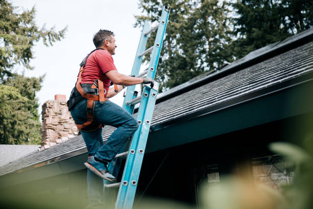 Best Gutter Installation and Repair  in Mountain Brook, AL